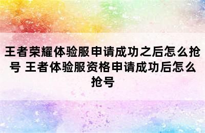 王者荣耀体验服申请成功之后怎么抢号 王者体验服资格申请成功后怎么抢号